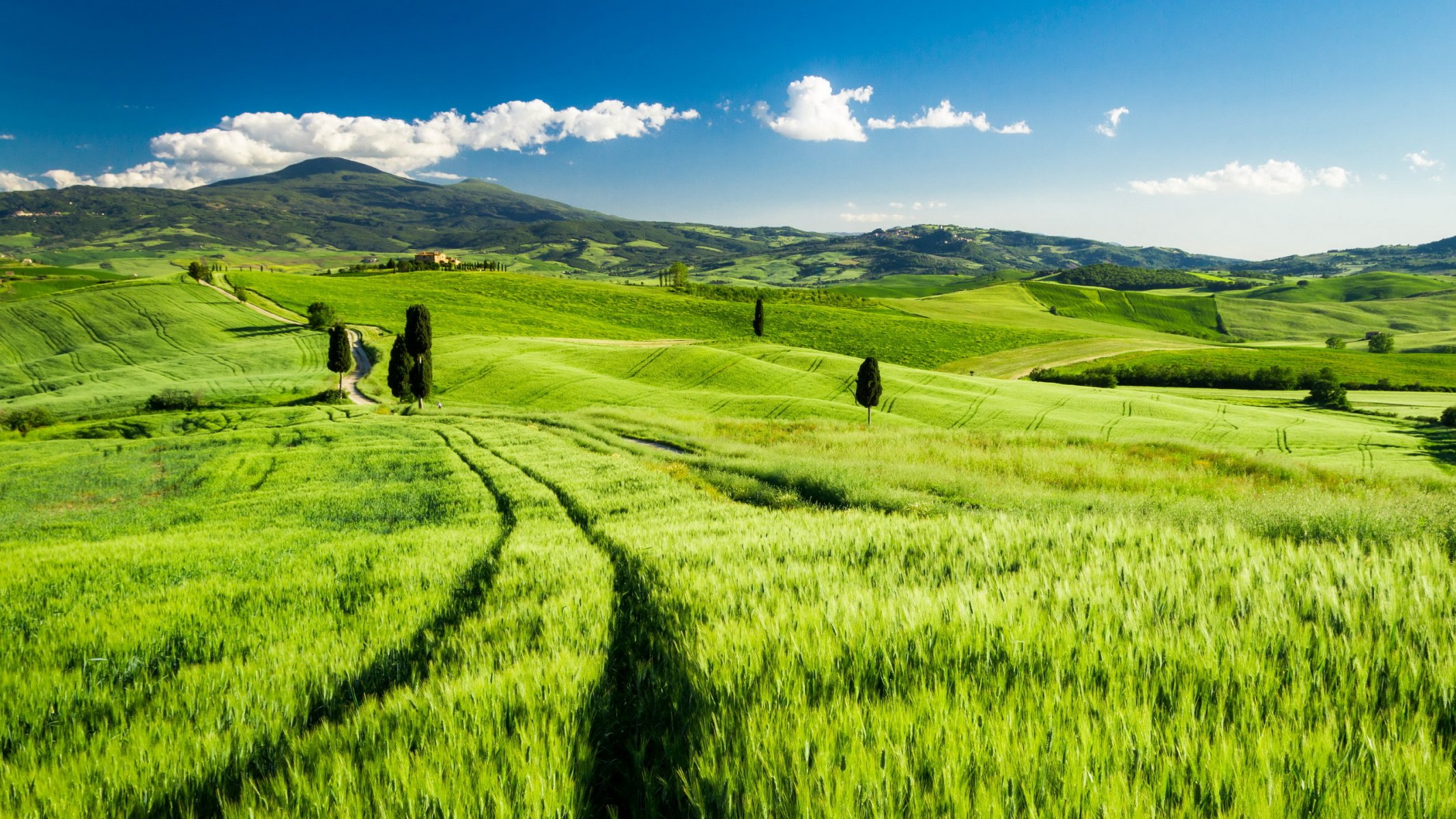 toscana italia campo paesaggio