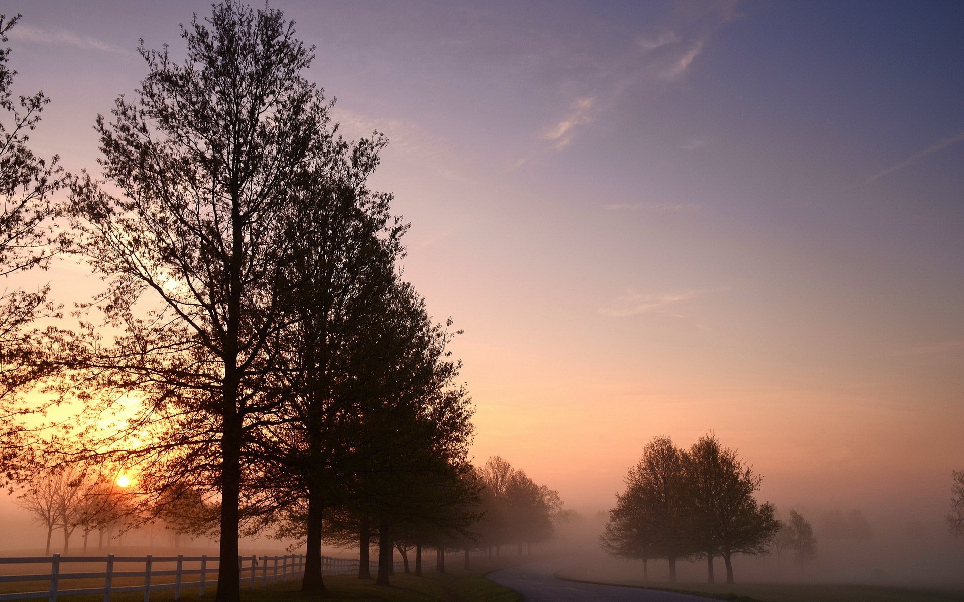 matin route brouillard paysage