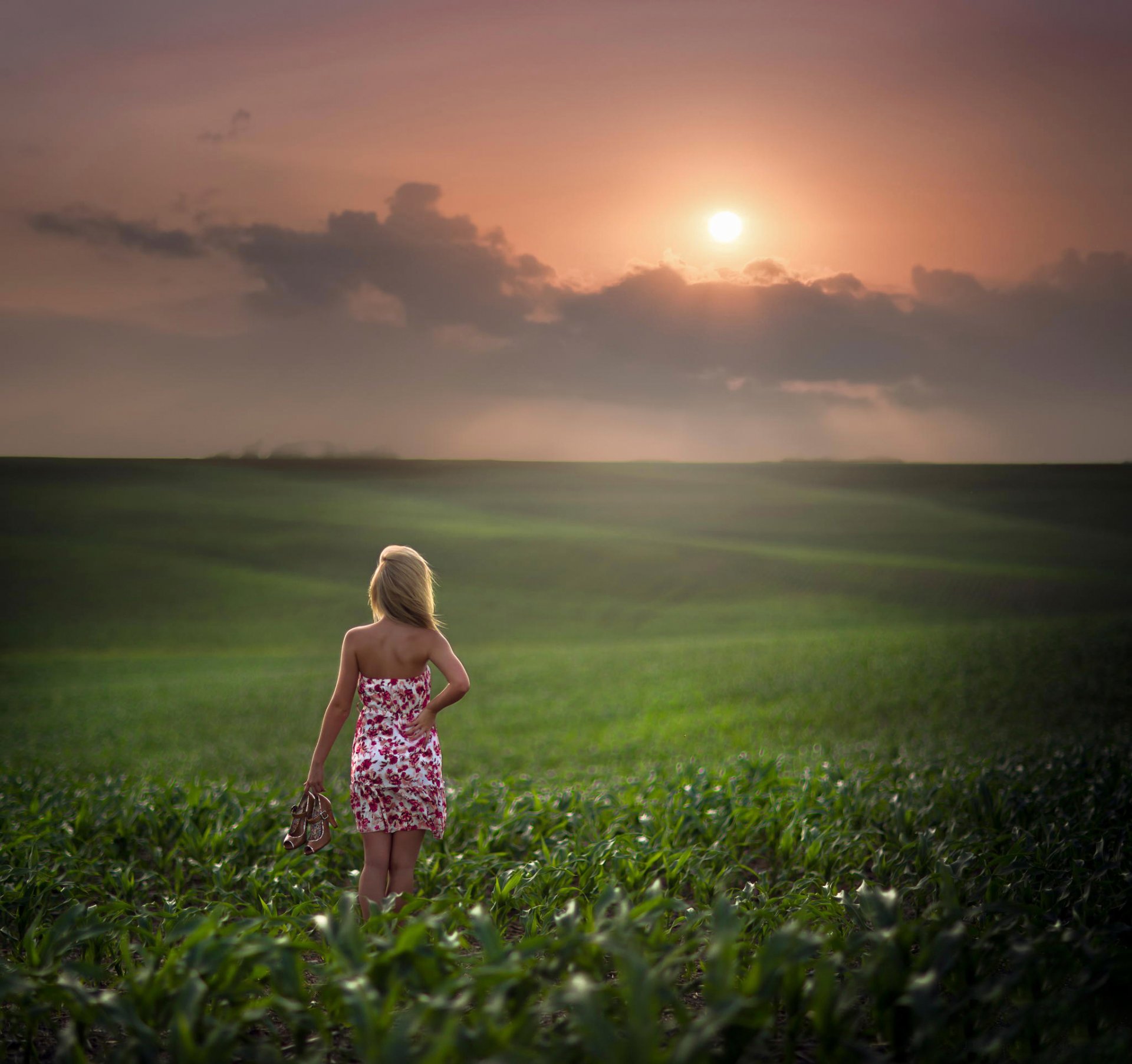 campo spazio sole ragazza