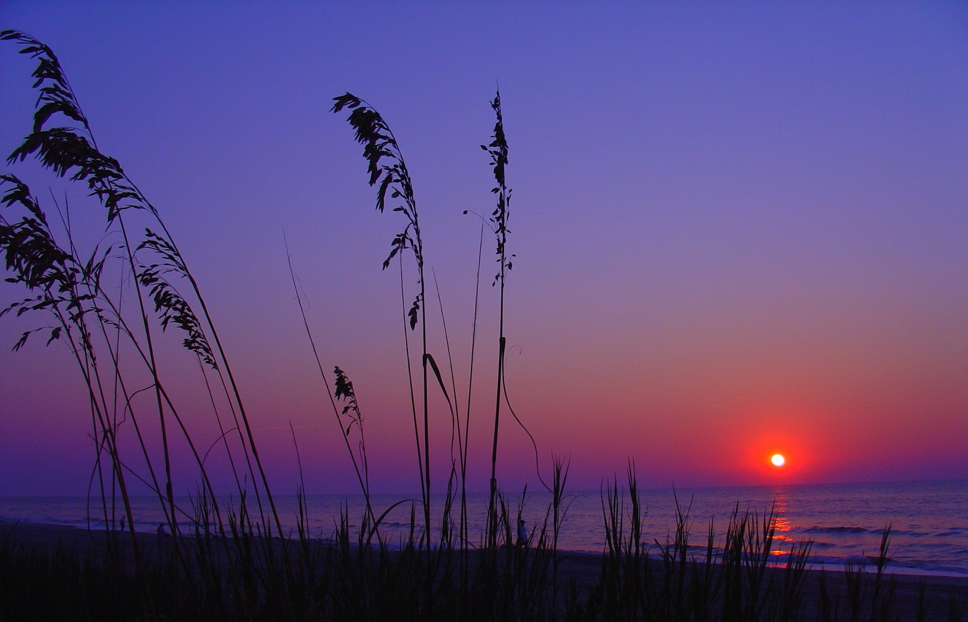 plage mer coucher de soleil nature paysage