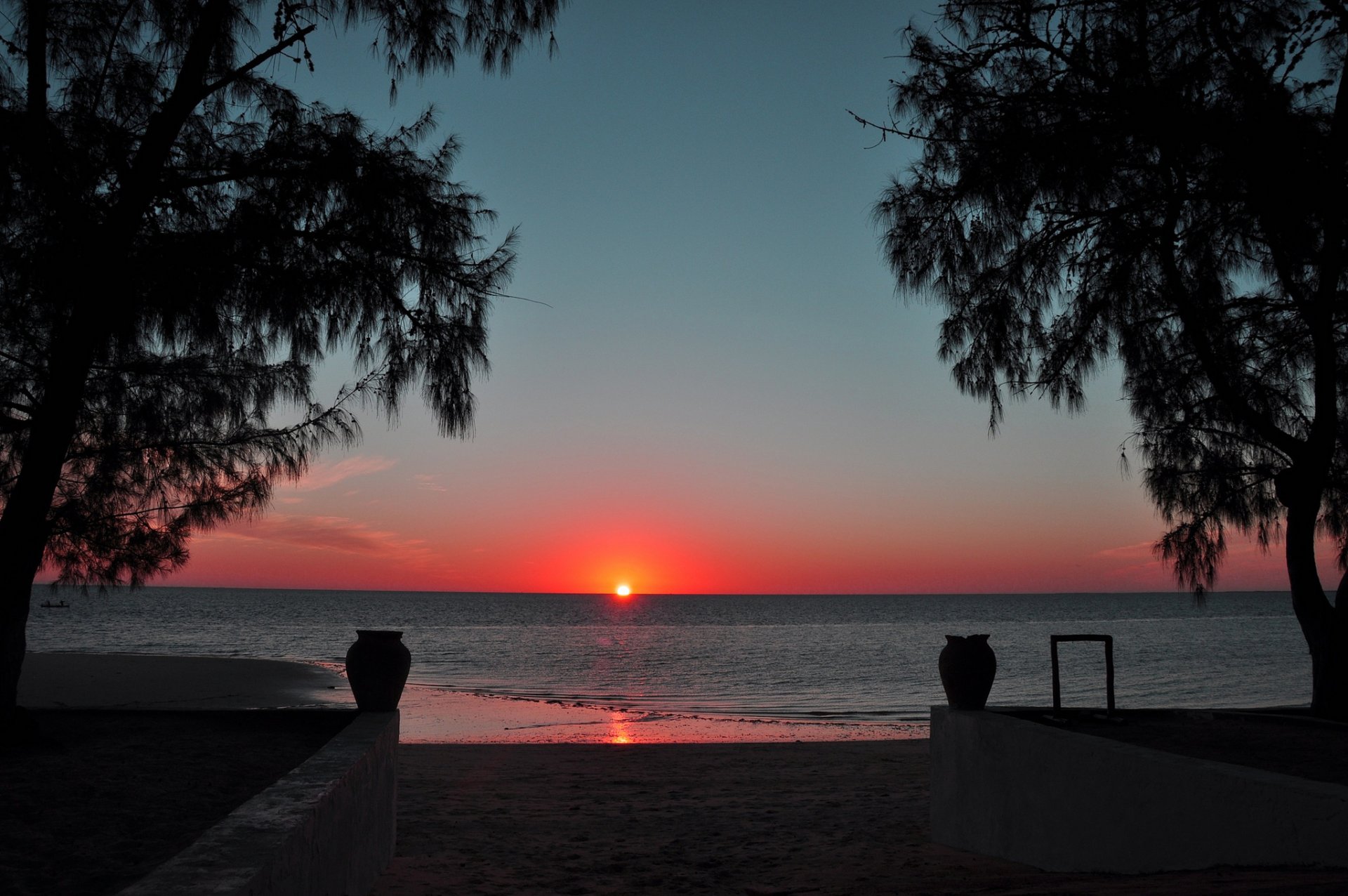 mare spiaggia alberi sole tramonto