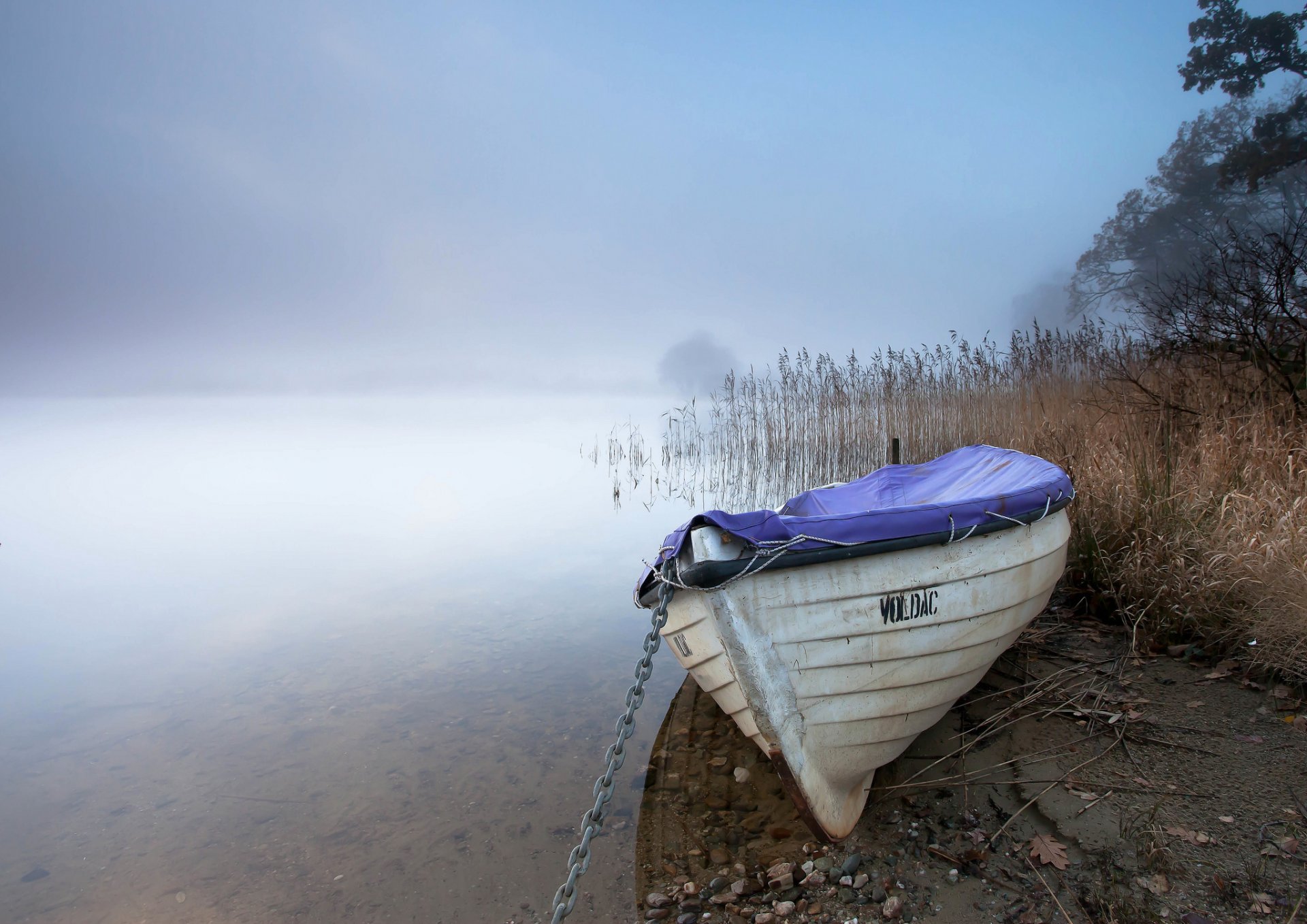 lake reed boat fog