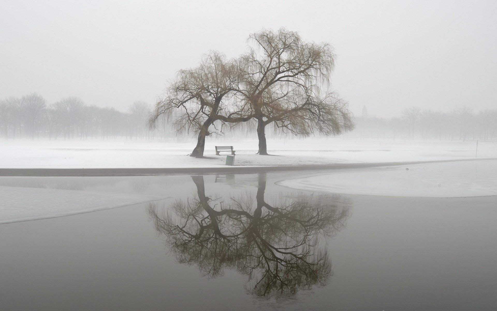 hiver parc brouillard paysage