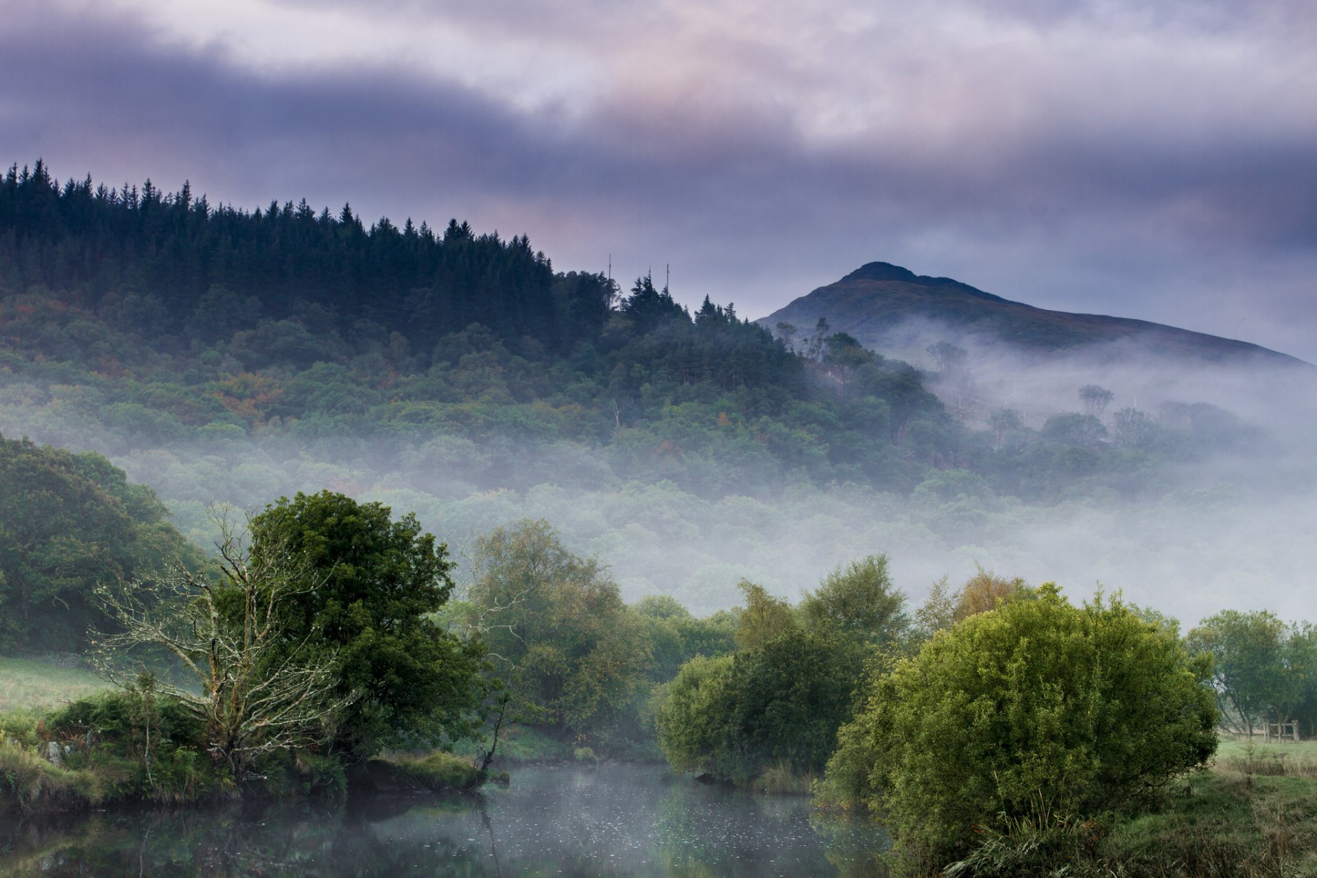 wald berge see morgen nebel dunst