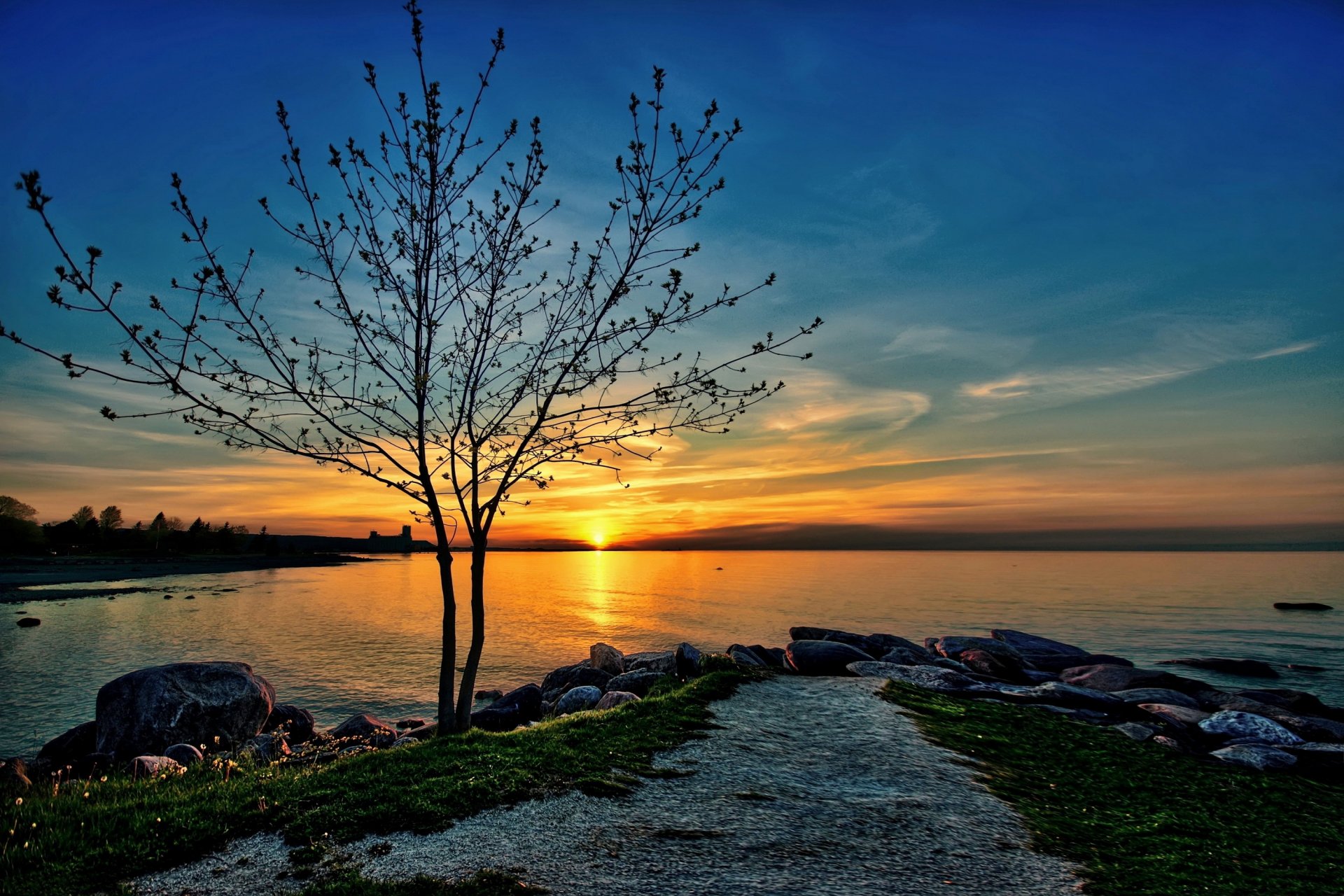 lake beach stones tree sun sunset