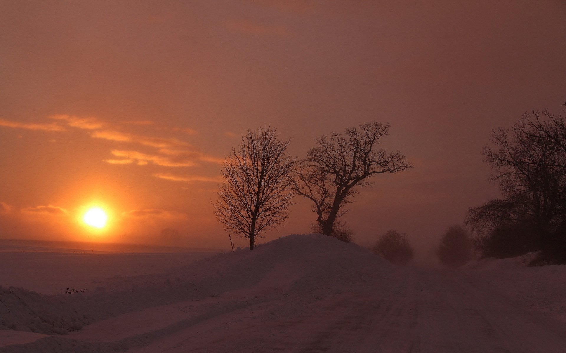 winter snow road tree sun