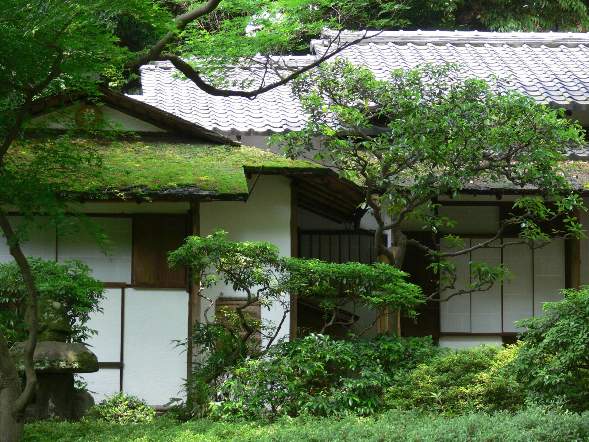 casa asia jardín árboles vegetación musgo techo tejas