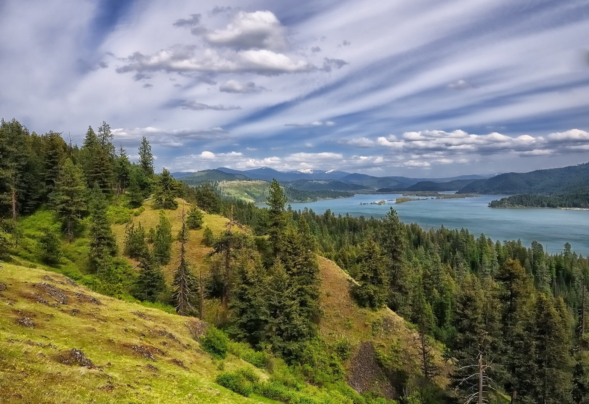 озеро coeur d alene озеро кёр-д ален лес деревья горы