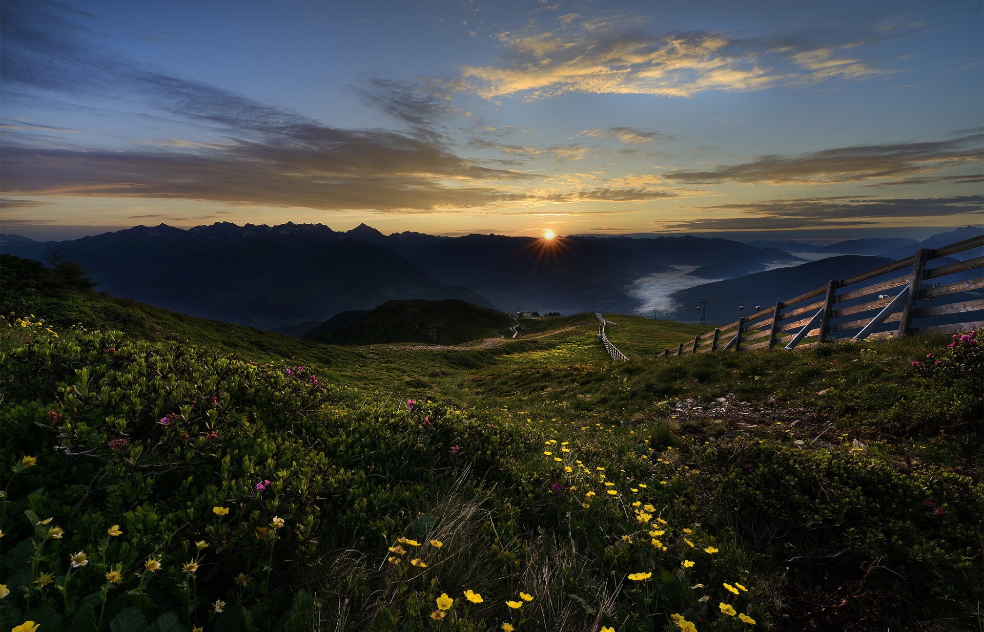 mountain fence flower sun dawn