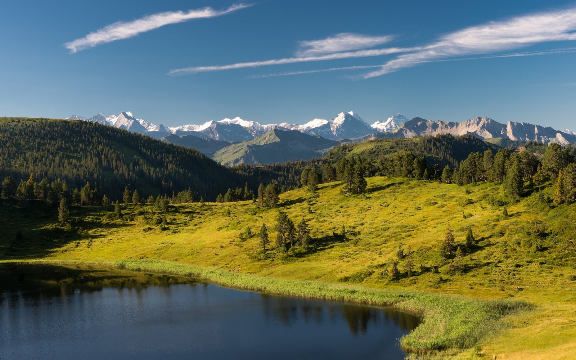 ewenseeli jezioro entlebuch szwajcaria alpy jezioro góry las drzewa