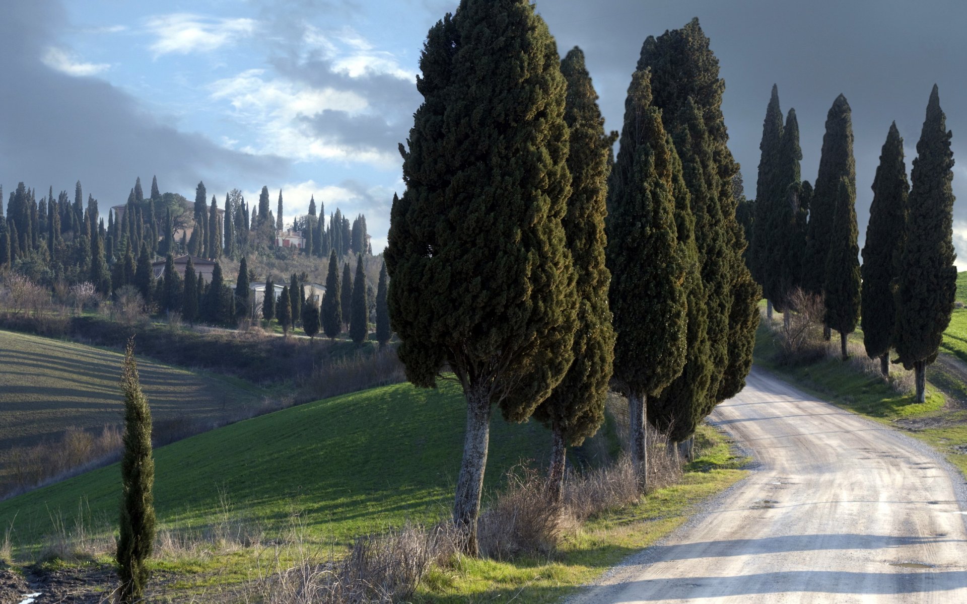 guardiani tranquilli toscana italia paesaggio