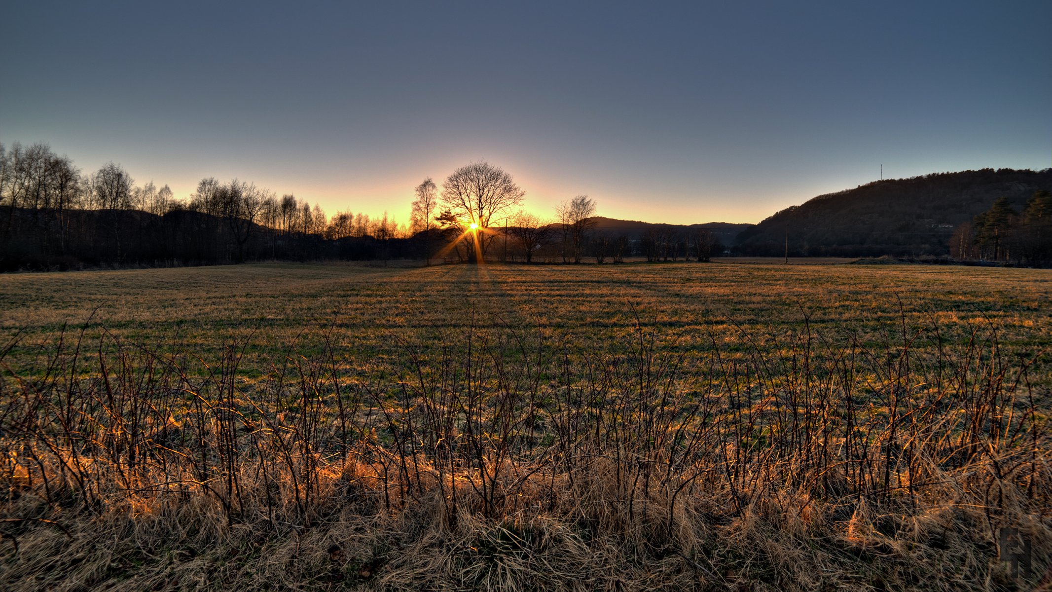 herbst gras trocken baum zweige sonne sonnenuntergang hügel