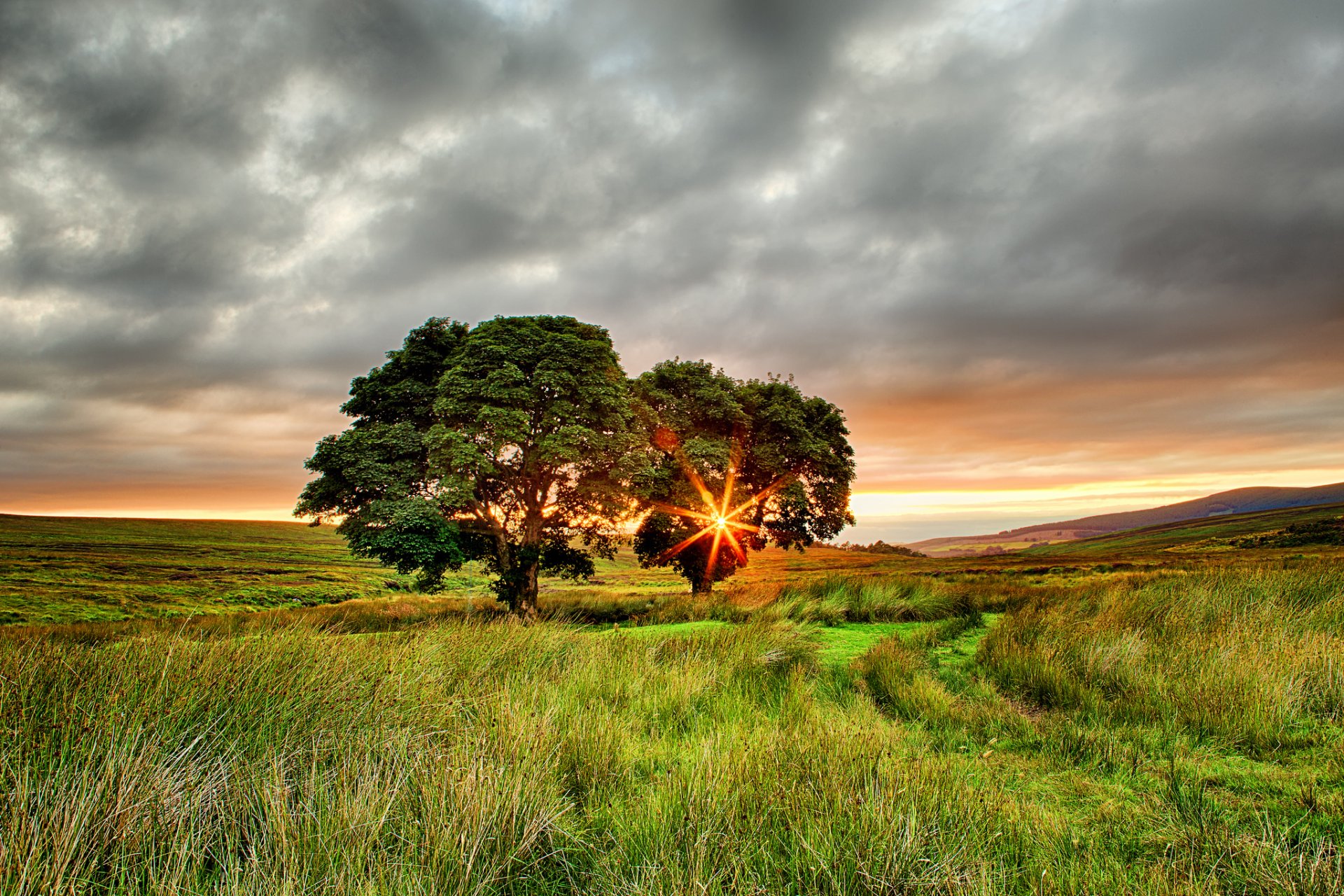 irlanda estate campo alberi due sole raggi tramonto