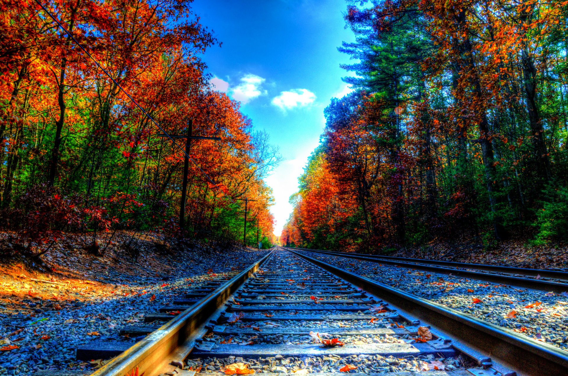 railroad rails sleepers tree foliage autumn