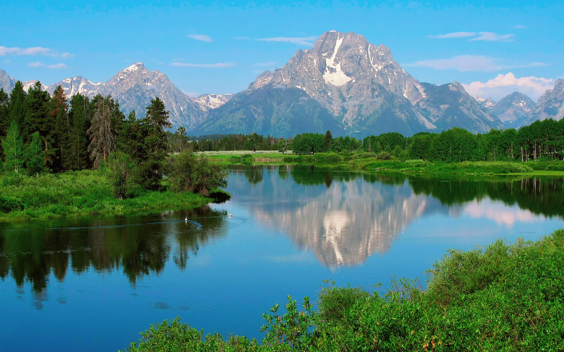 united states wyoming grand teton national park mount moran nature summer-spring forest water duck reflection