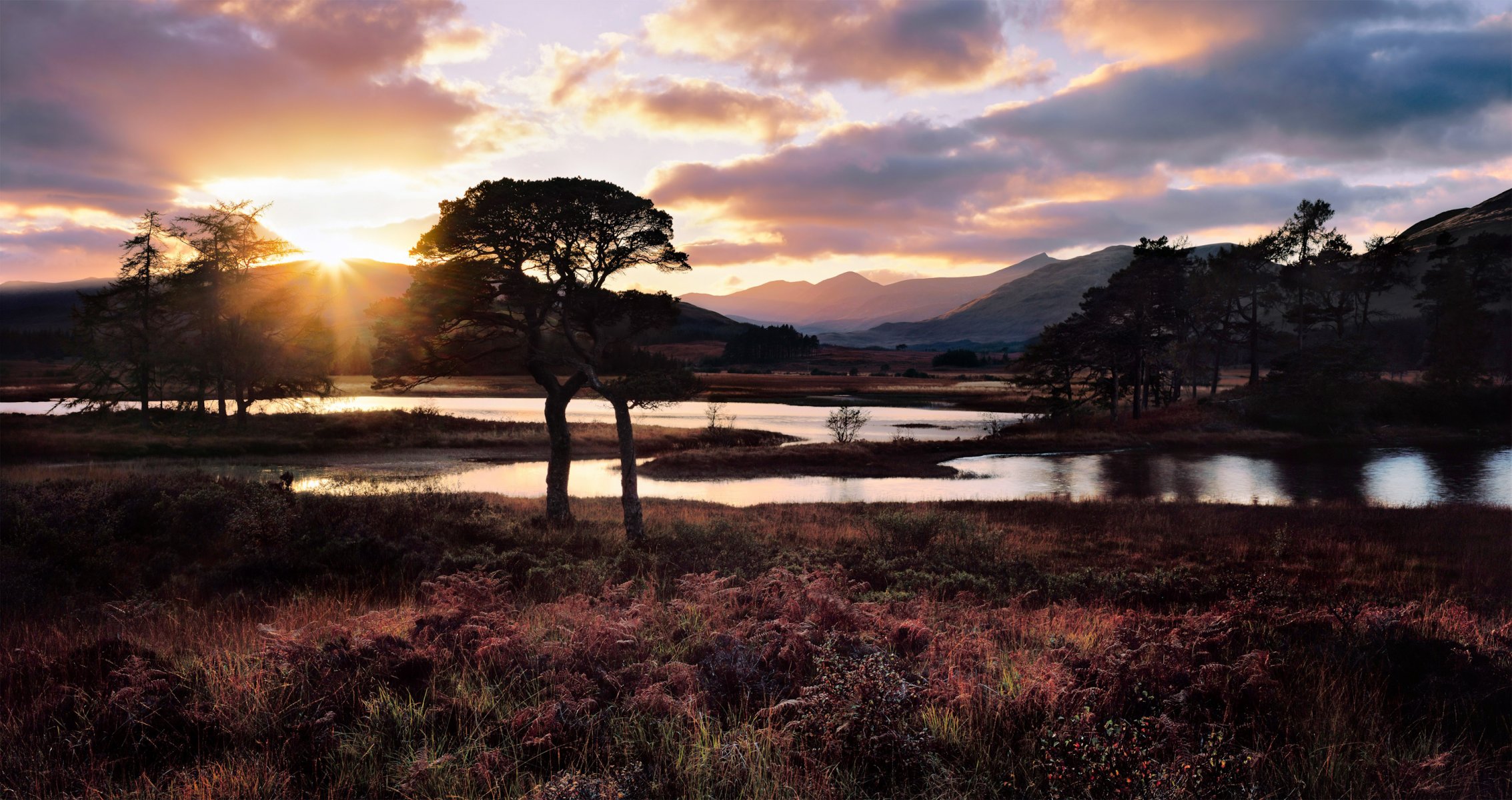 mountain lake tree grass sun rays sunset