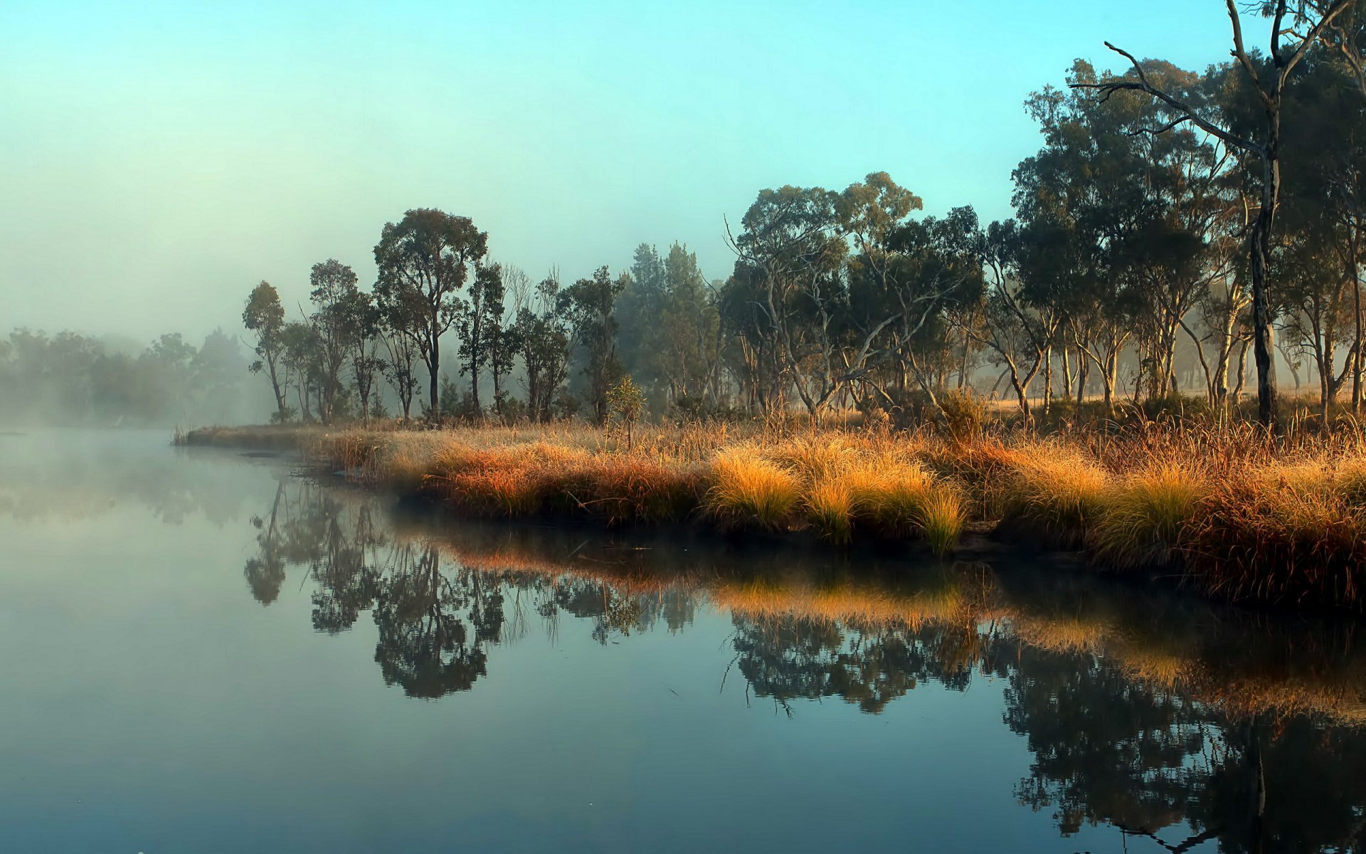 river nature landscape