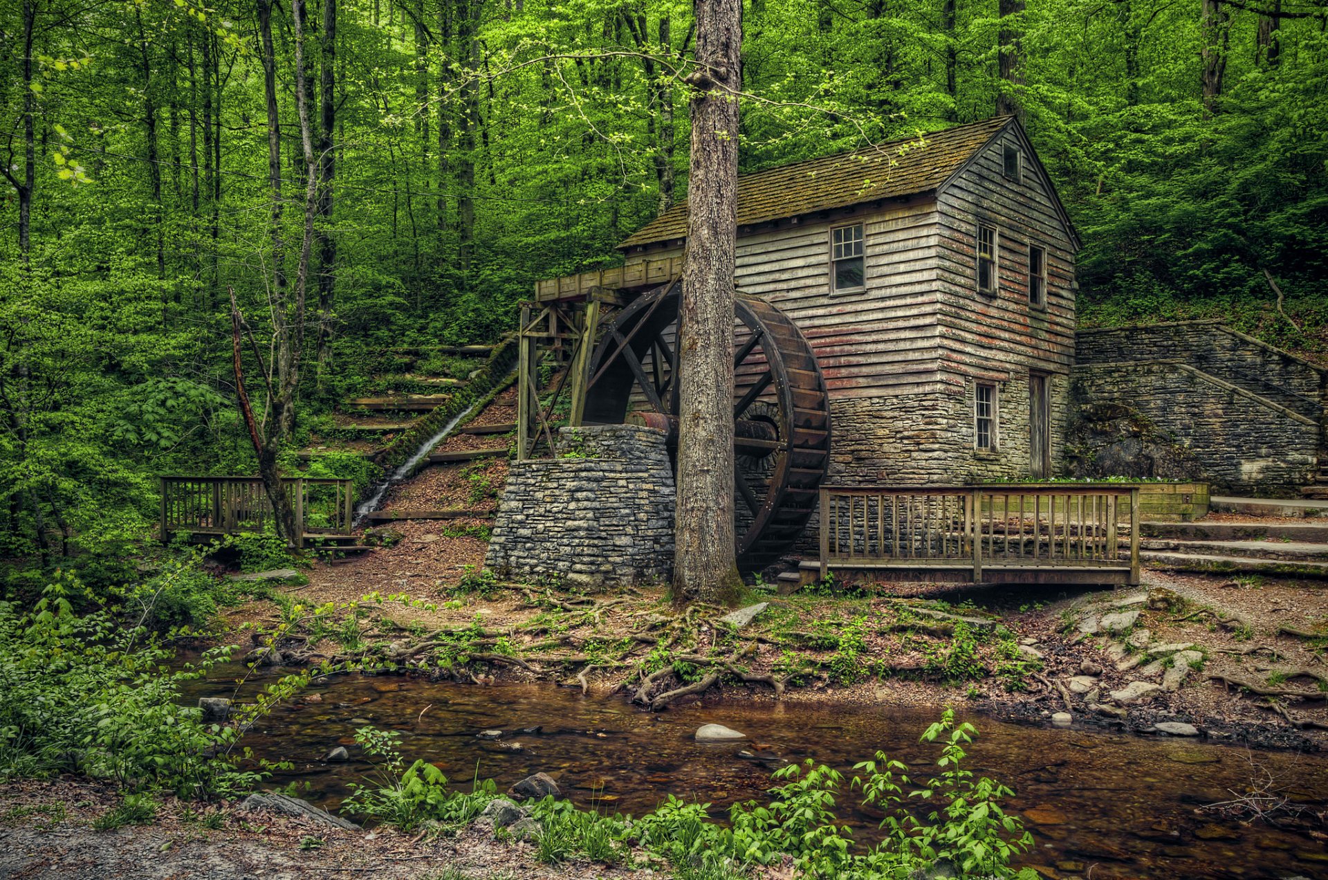 estados unidos tennessee norris dam state park old mill