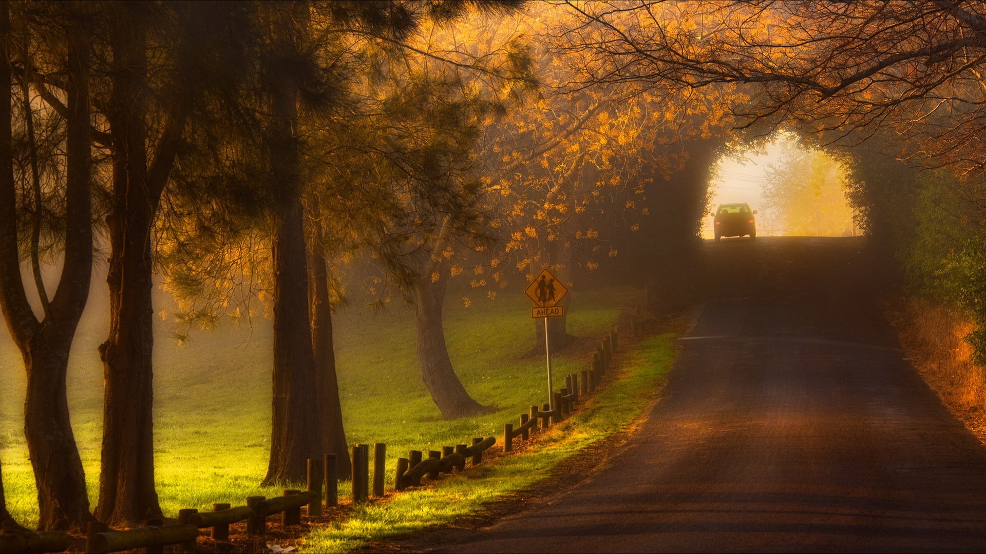 mattina strada nebbia paesaggio