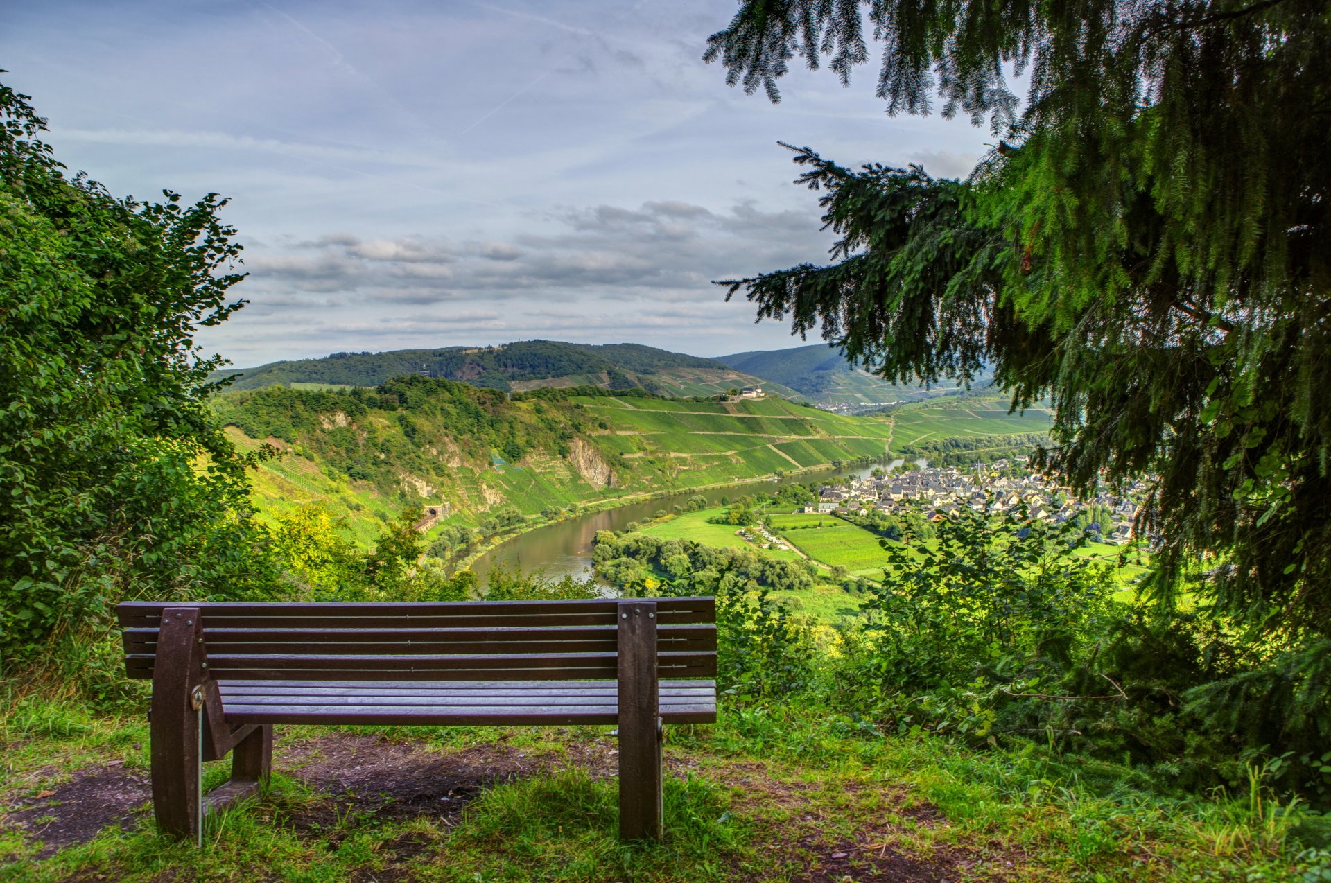 nature forêt montagnes horizon sapin banc paysage photo