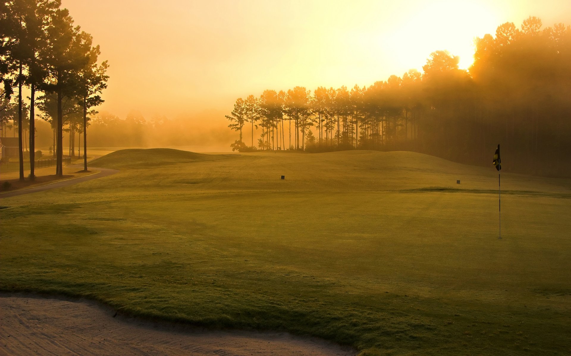 terrain de golf herbe arbres