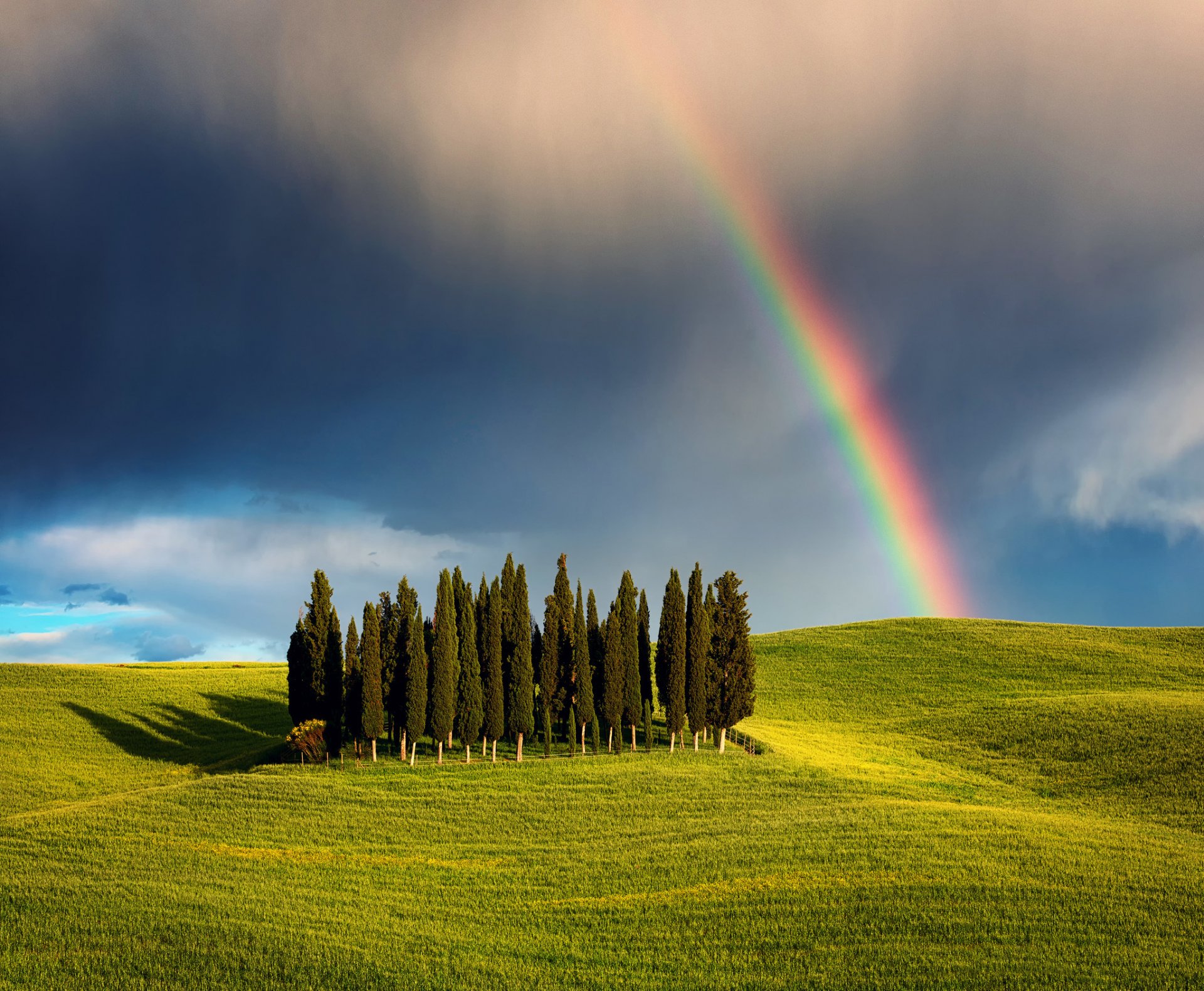 italy tuscany cypress hill grove nature fields trees sky clouds clouds rainbow spring may