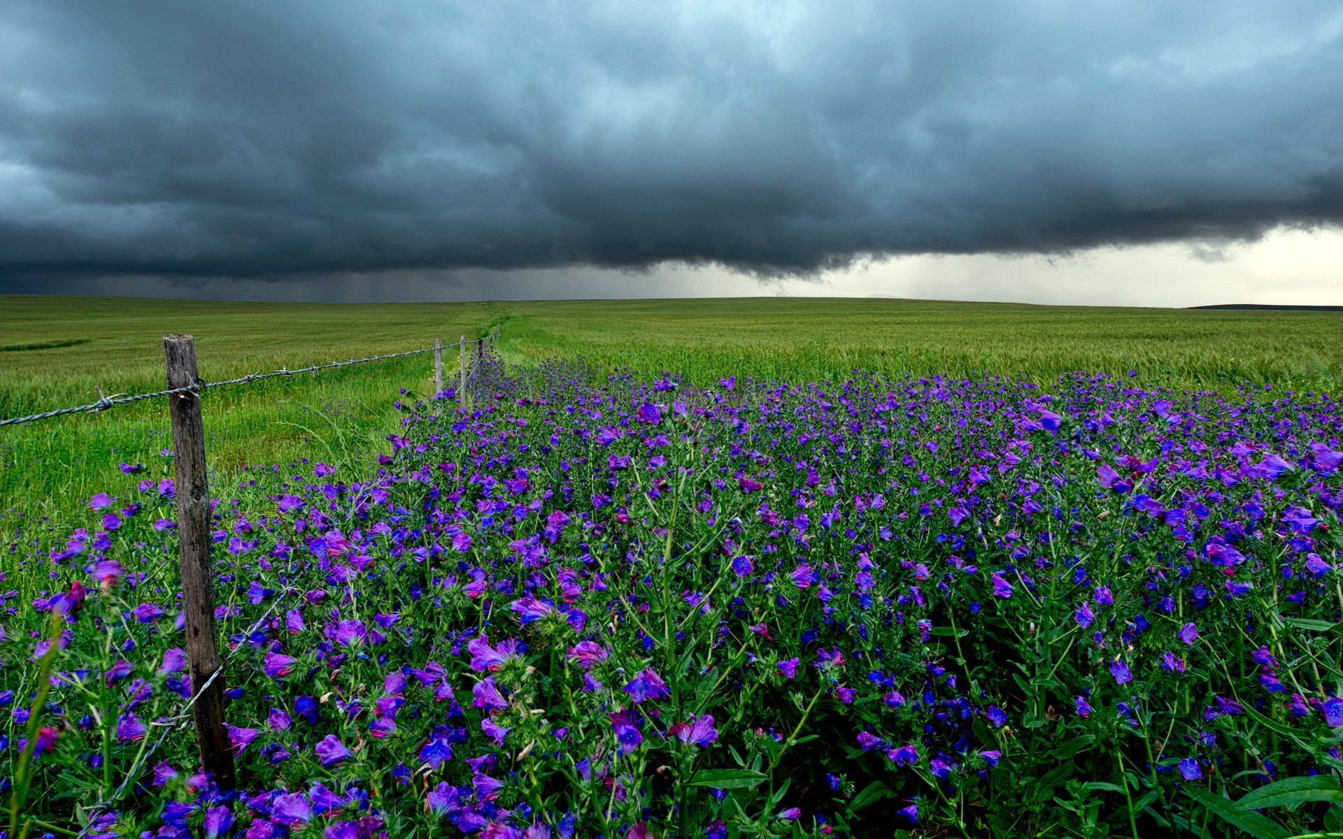 feld zaun blumen wolken landschaft