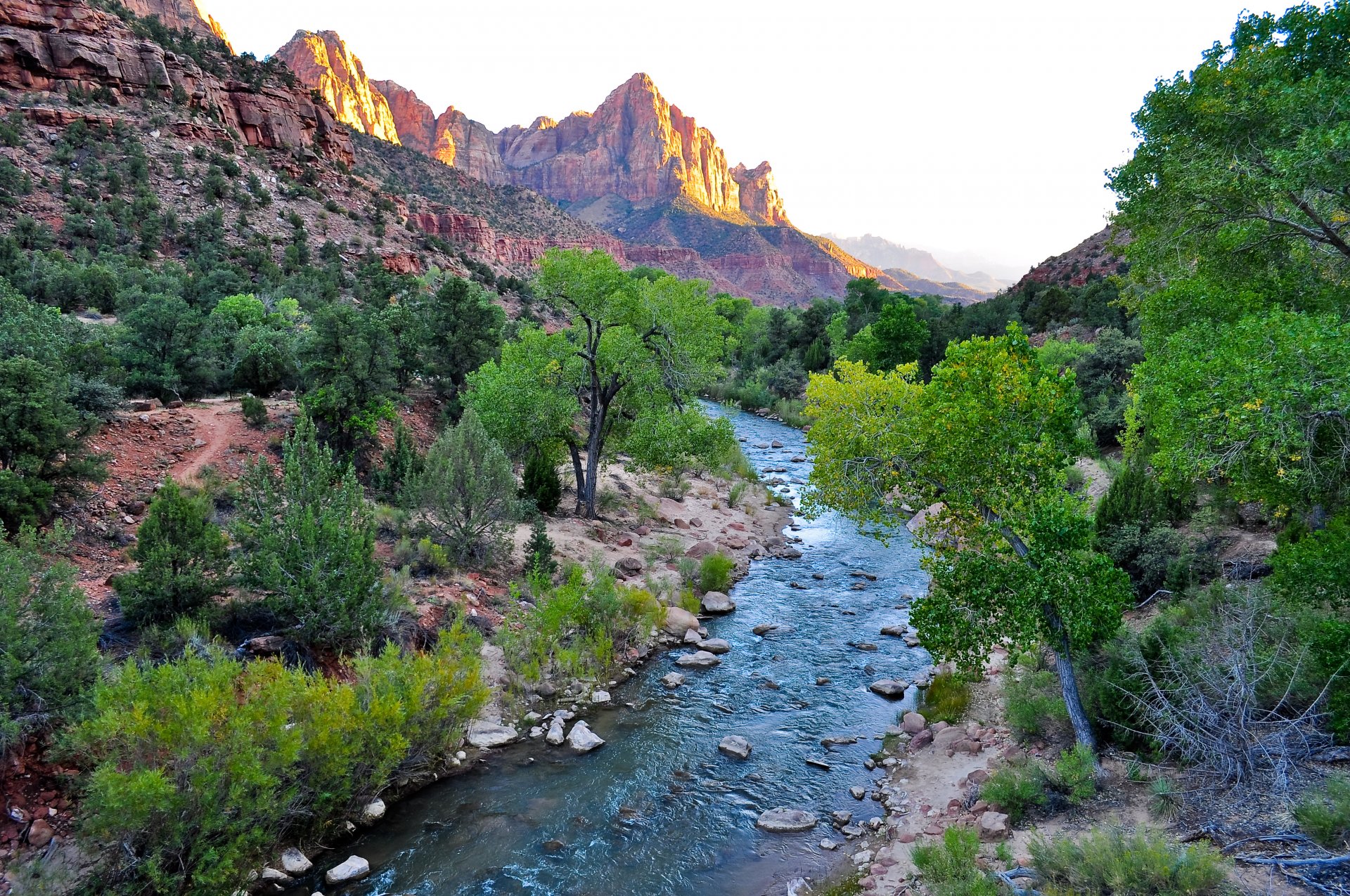 parco nazionale di zion parco nazionale di zion utah usa canyon di zion rocce rocce arenarie navajo dipinte di ruggine e bronzo fiume virginia alberi arbusti cielo