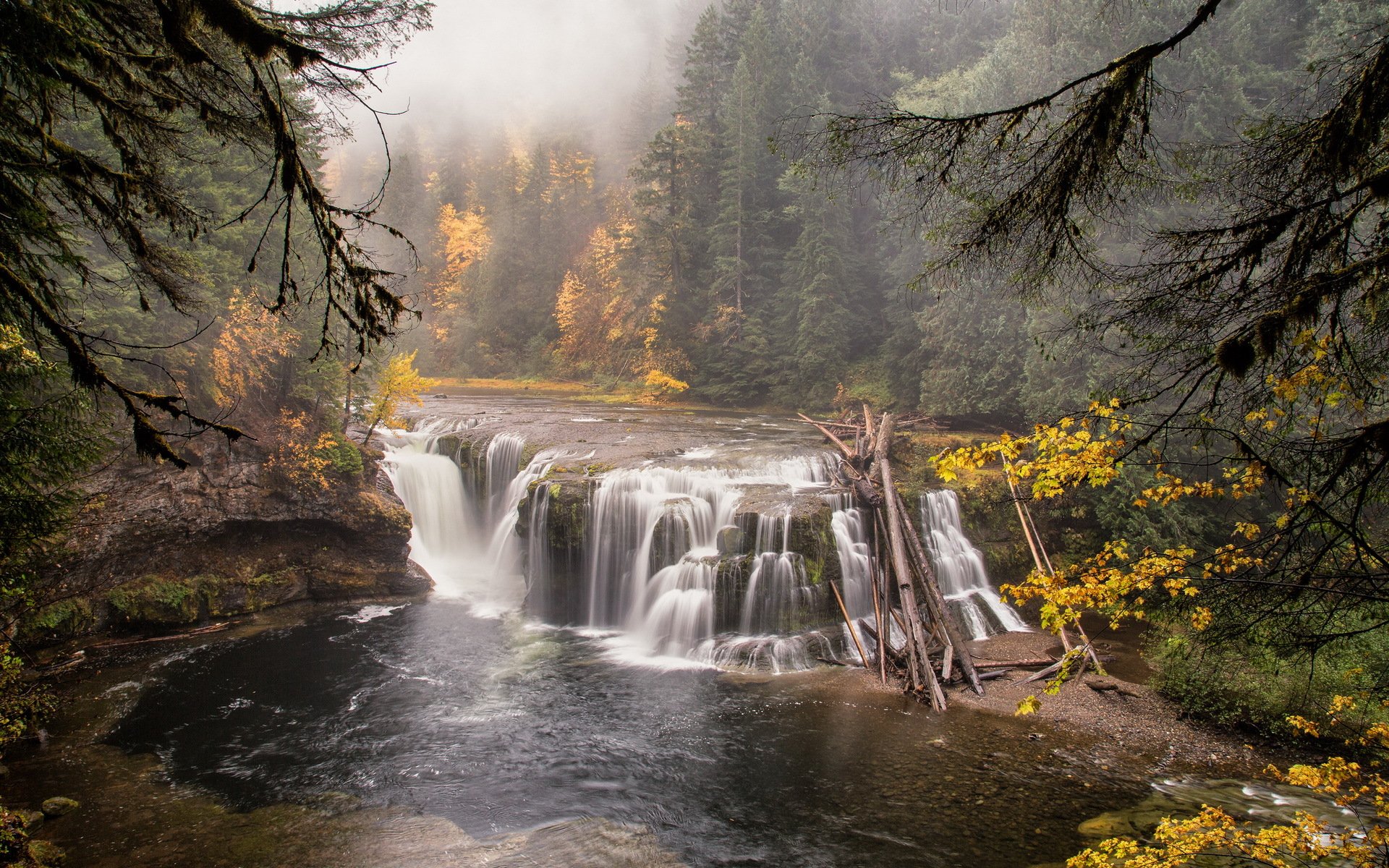 bosque río cascada naturaleza paisaje