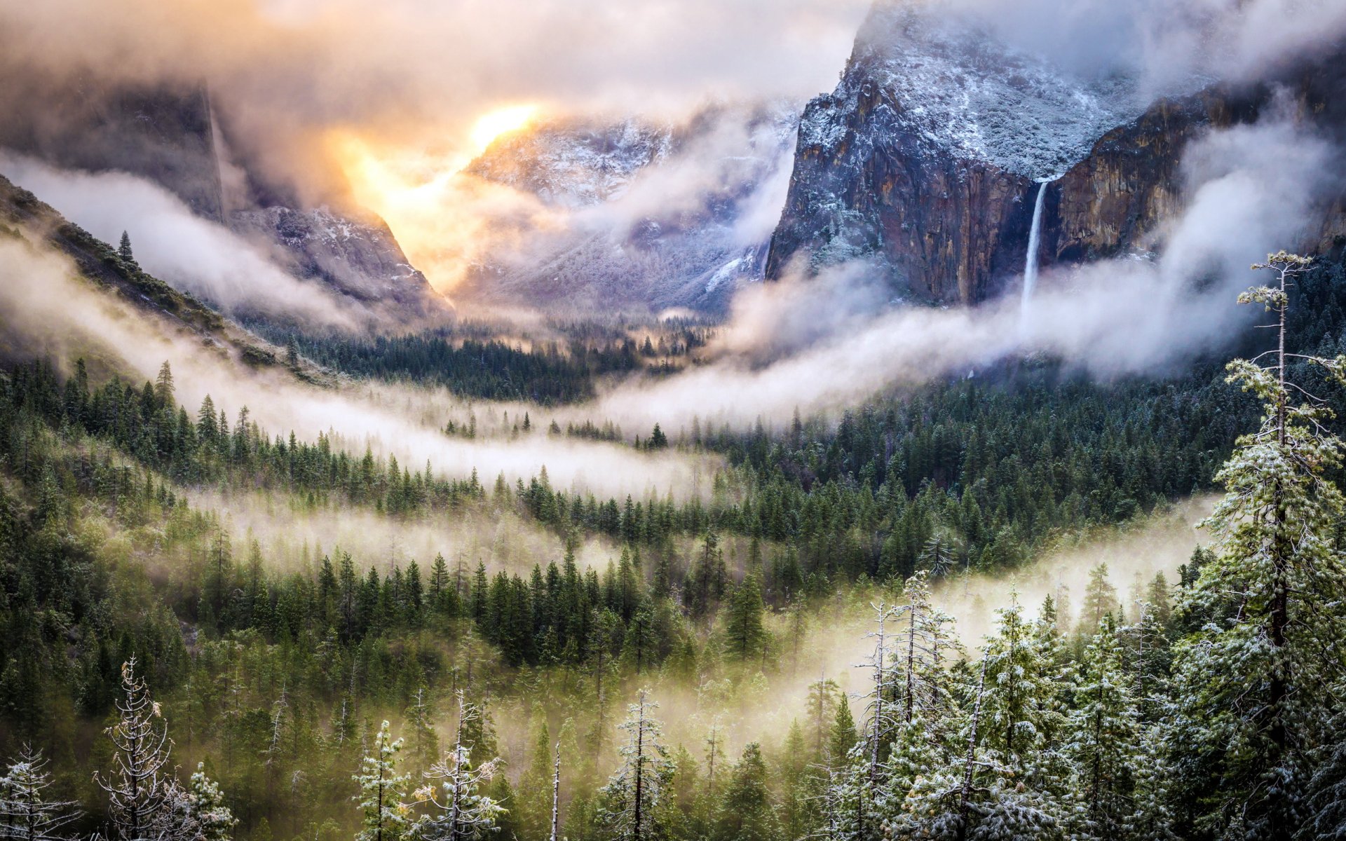 mountain fog forest nature landscape