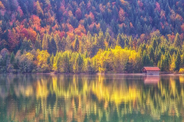 Otoño. Lago. Casa. Agua