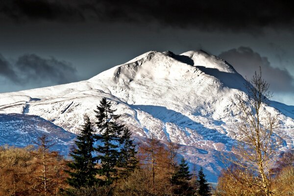 Cima della montagna. Neve e alberi