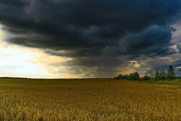 Schöne Landschaft: Ein Feld unter Gewitterwolken