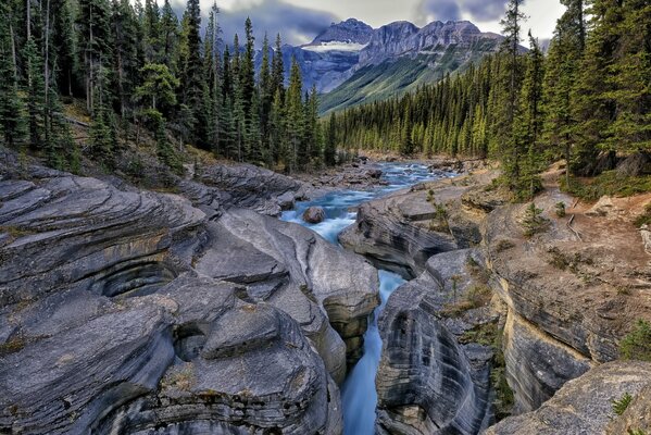 Landscape. Rocky river in the forest