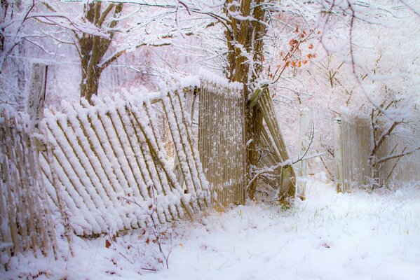 Snowy winter in the village