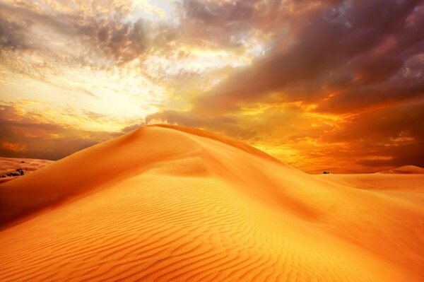 Sabbie del deserto bellissimo paesaggio