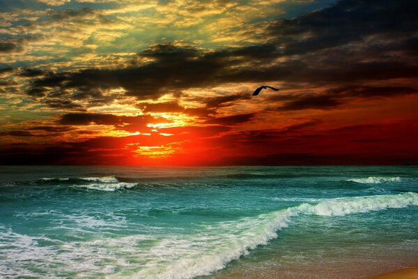 Sea waves at sunset