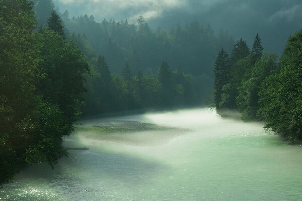 Rzeka w lesie Berchtesgaden w Bawarii w deszczową pogodę