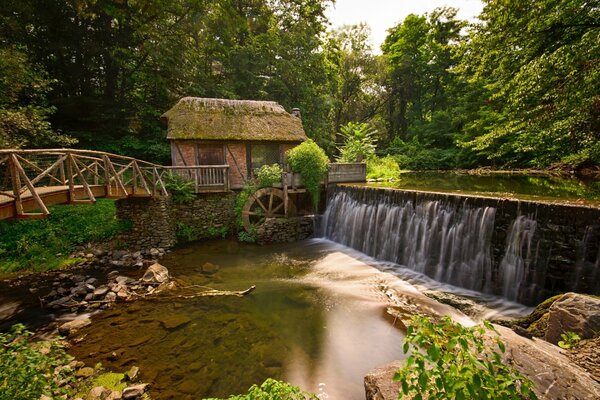 Märchenhafte Brücke über den Fluss im Wald