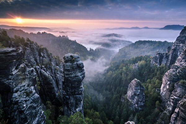 Le propriétaire de la race du brouillard . Paysage de la Suisse saxonne