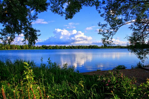 Nuvola su un cielo blu incorniciato da alberi e acqua