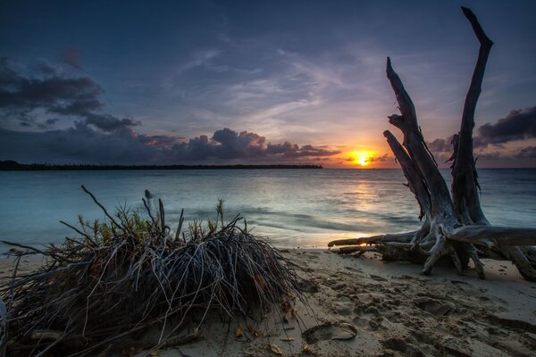 Coucher de soleil mystérieux au bord de la rivière