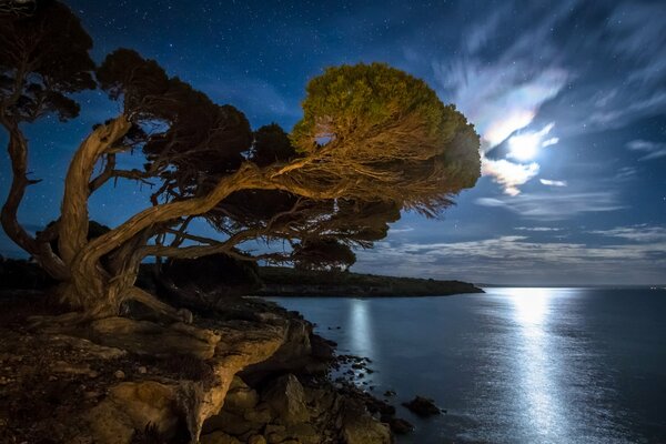 Reflection of moonlight in the bay