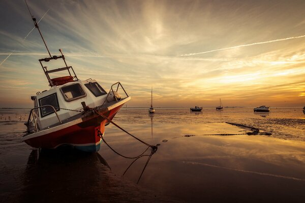 Yachts. Eau. Coucher du soleil. Ciel