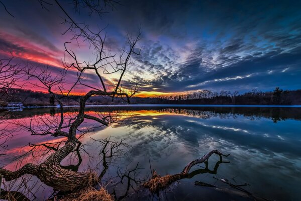 Coucher de soleil rose-bleu sur le lac