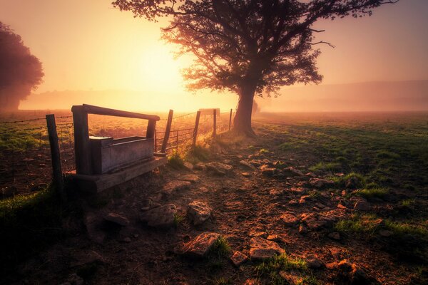 Die Sonne erhellt den Horizont an einem nebligen Morgen