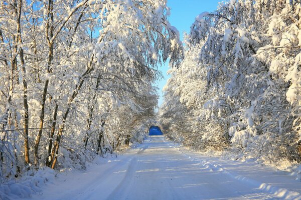 Die Landschaft eines frostigen Wintertages