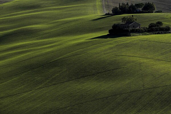 Green fields with a tree house