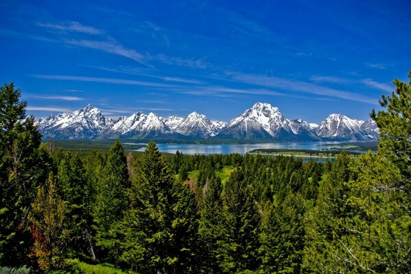 Mountains River Trees Landscape