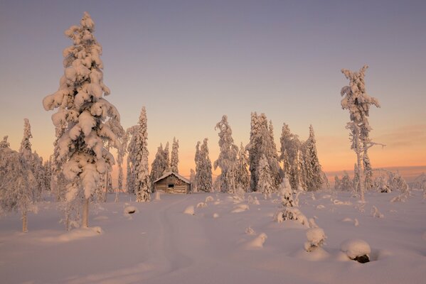 Bosque nevado. Cabaña en el bosque